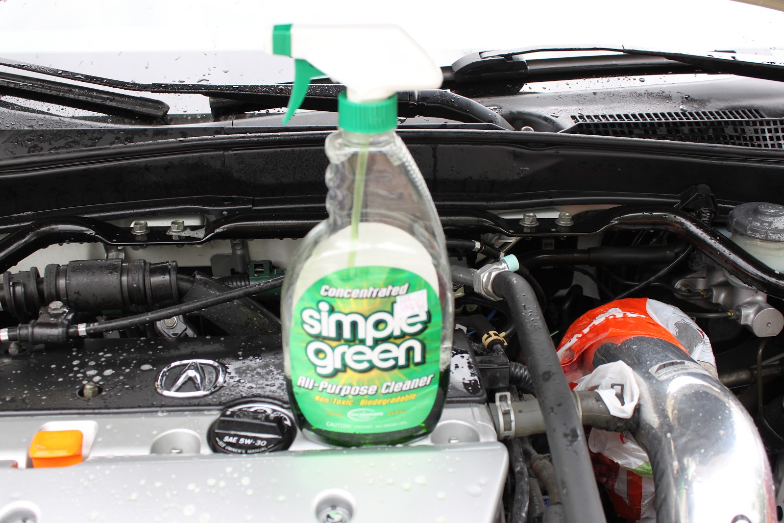 Acura RSX TypeS / Honda Integra DC5 How to clean engine bay in Acura RSX