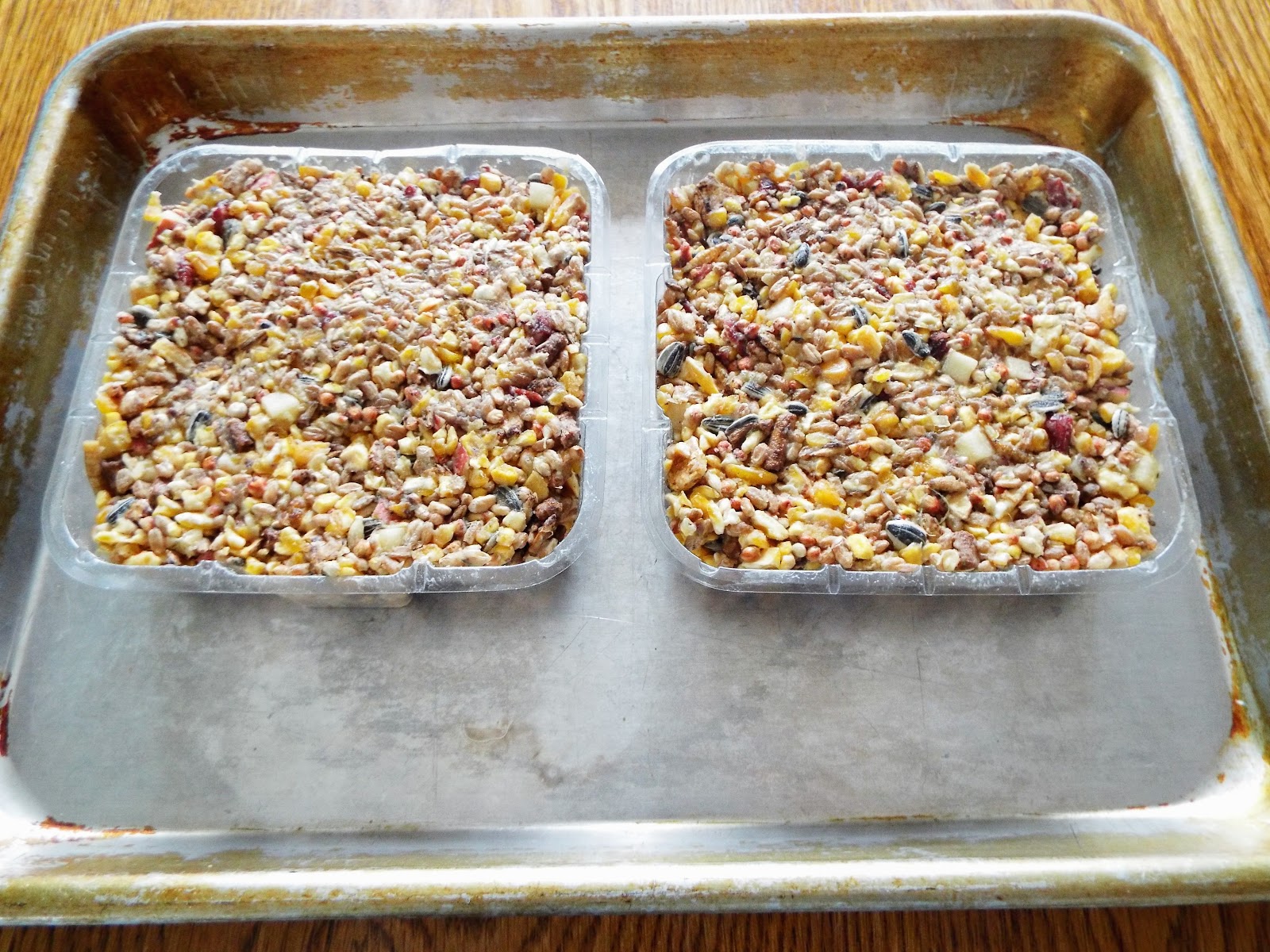 The CentsAble Home HomeMade Suet Cakes for the Winter Season