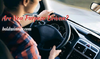 are you purpose driven?