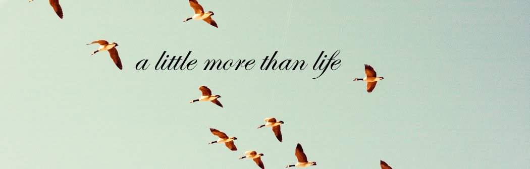 A Little More Than Life