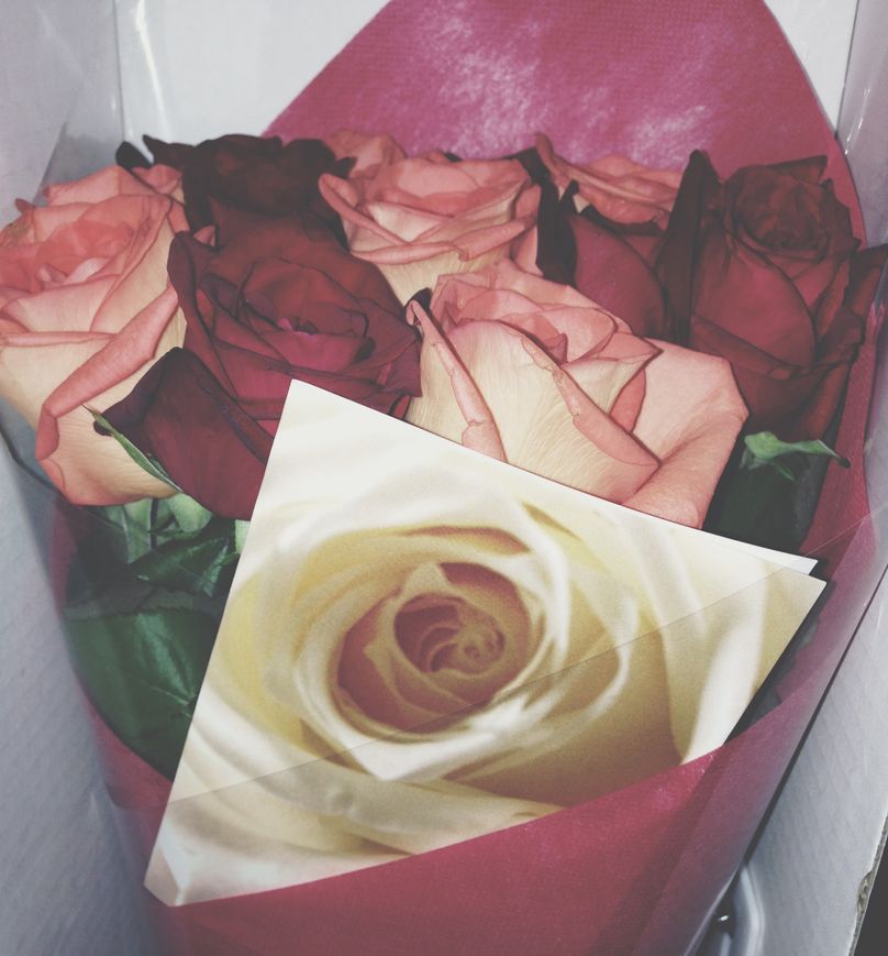 Island Rose Online Flower Delivery Service My Experience + Review Dad On The Move Family