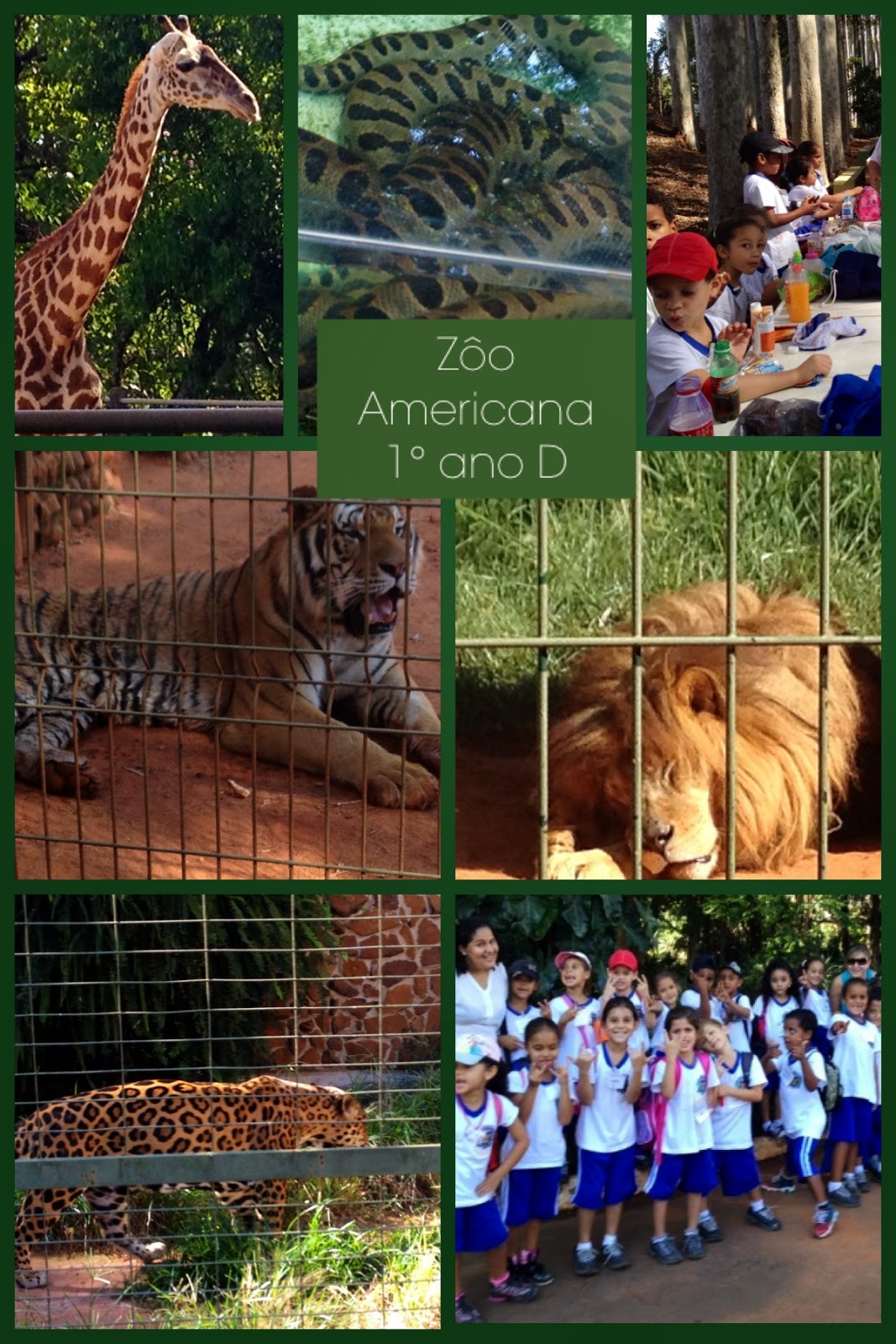Compartilhando saberes: Pesquisa de campo: zoológico de Americana