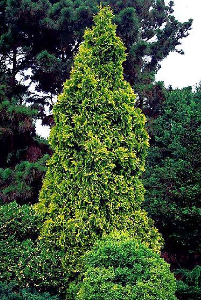 Beechwood Landscape Architecture and Construction