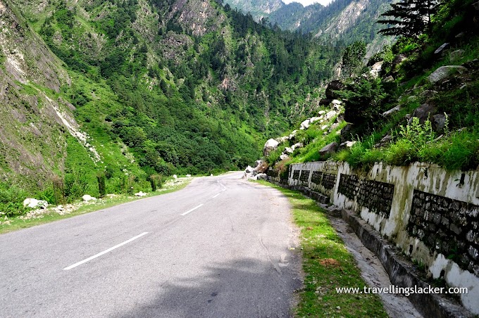 Valley of Flowers: Paradise Found