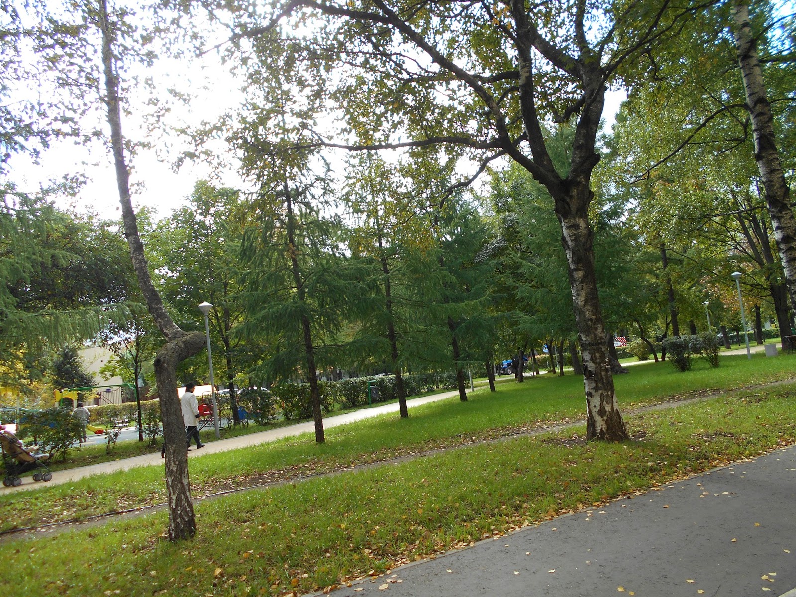 Черноморский бульвар в москве