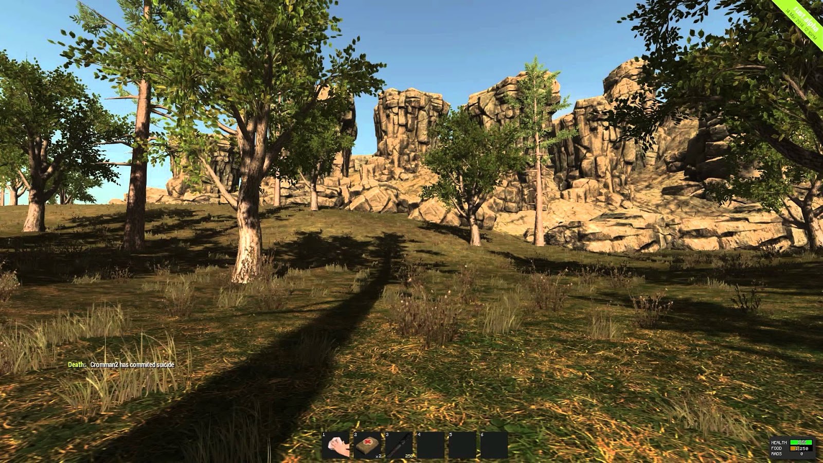 Rust игра на компьютере. руст игра. раст 2010. фото раст игра. картинки раст.