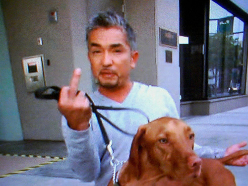 cesar-millan_120096.jpg