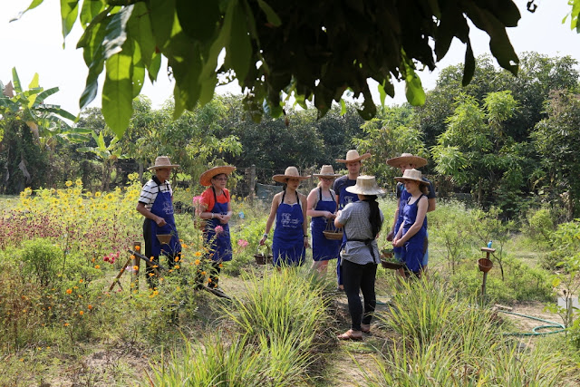 Thai Secret Cooking Class Photos. March 5-2017. Pa Phai, San Sai District, Chiang Mai, Thailand.