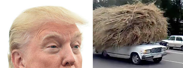 Donald Trump Auto