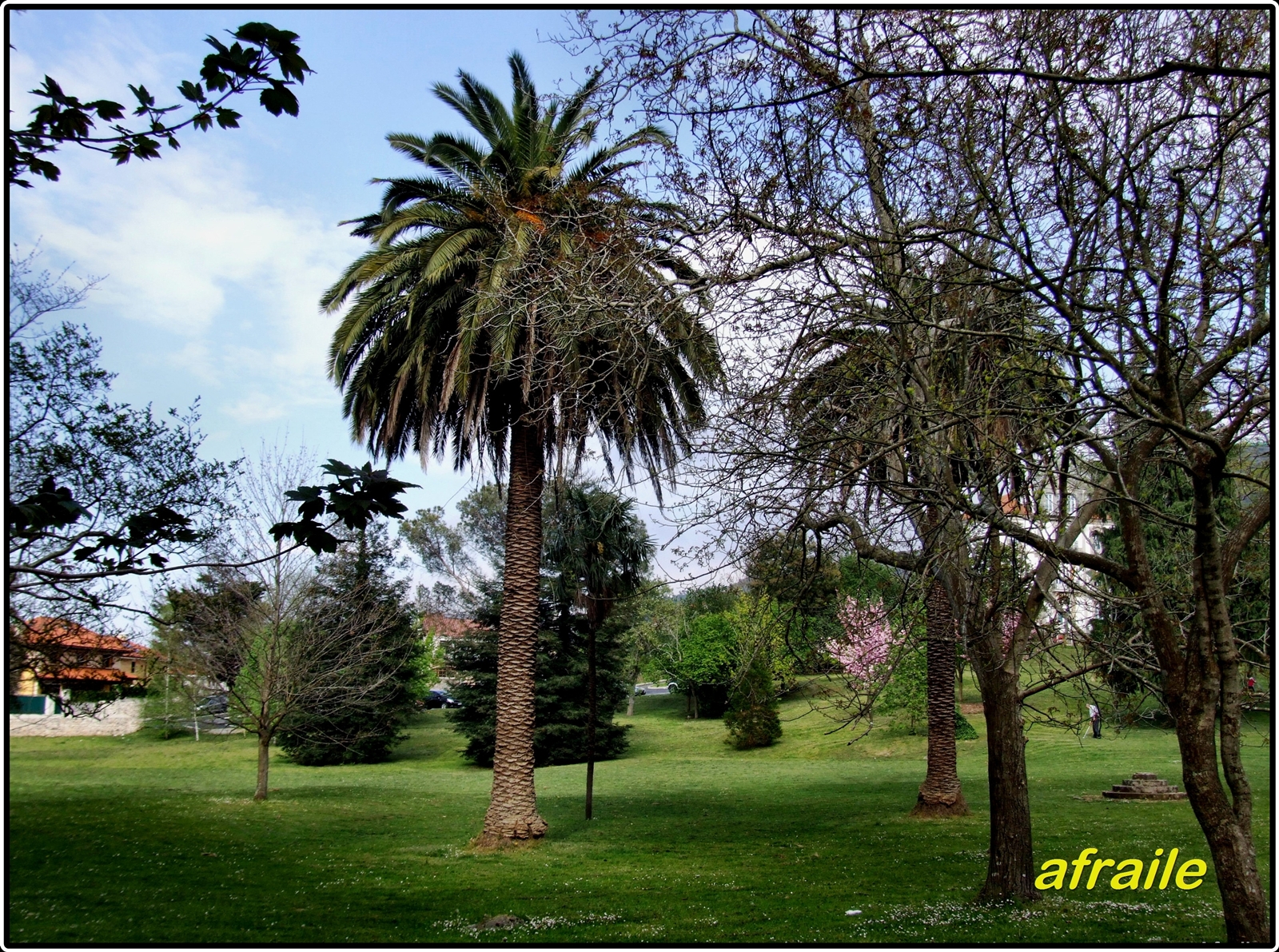 Foto de Parque de Rosequillo en Villaescusa, Cantabria