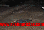 11 personas muertas en las últimas 24 horas en Navolato y Culiacan Sinaloa
