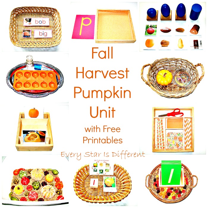 Fall Harvest Pumpkin Unit