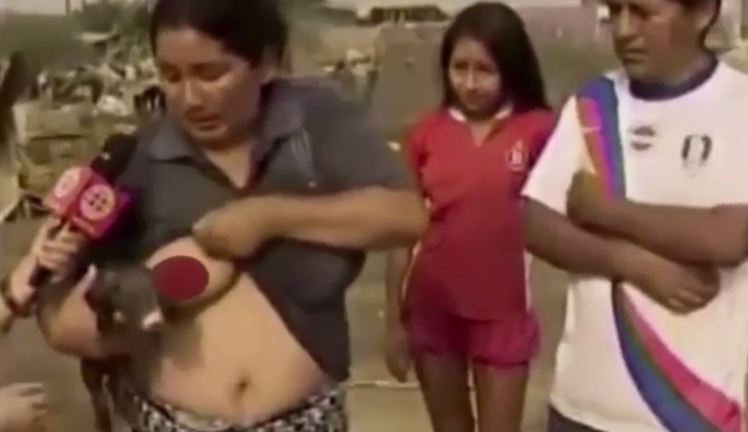 Allatta un maialino in diretta televisiva durante intervista