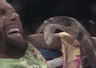 WWF / WWE SURVIVOR SERIES 1991 - Macho Man Randy Savage gets bit by a snake