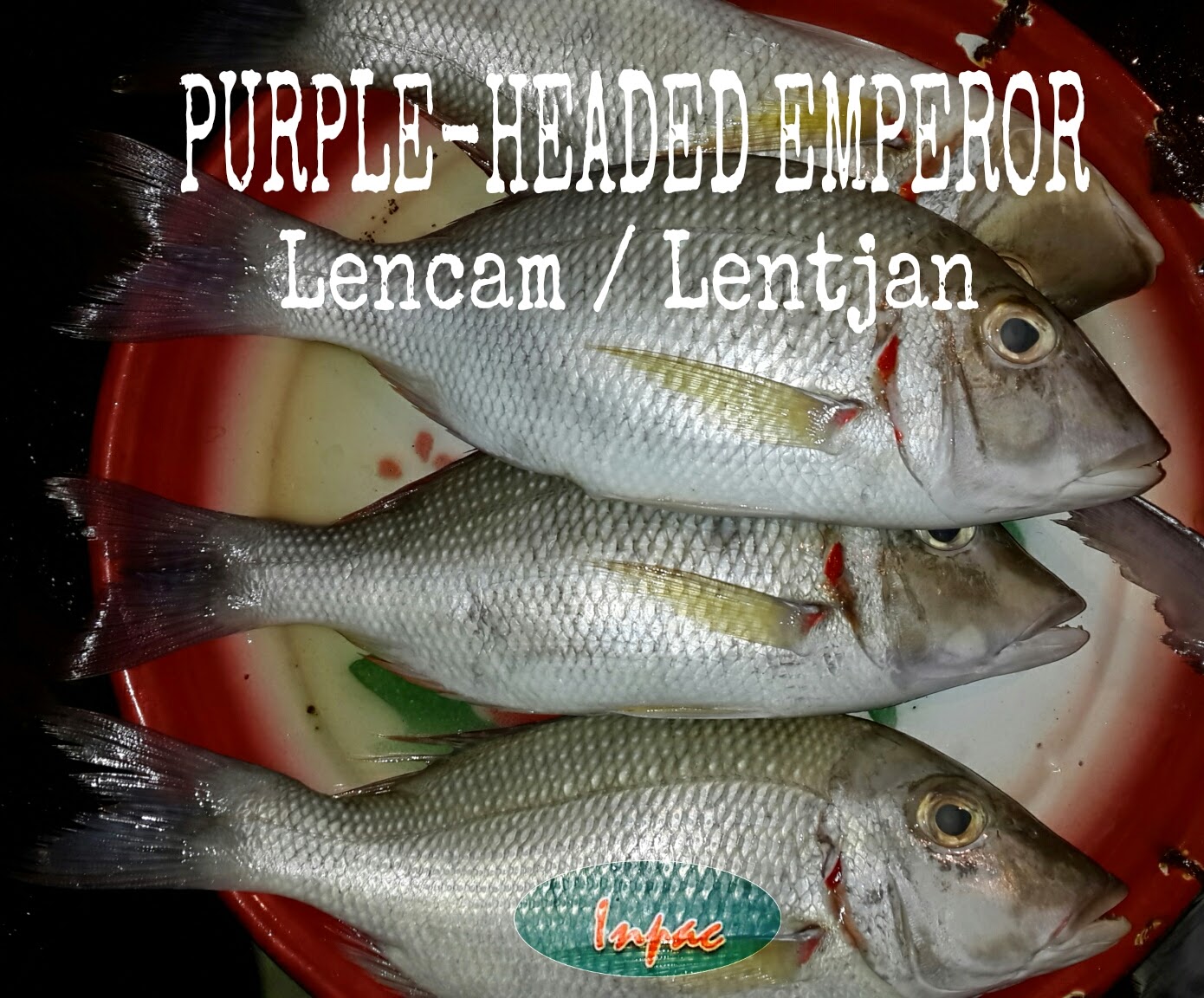 Ikan segar