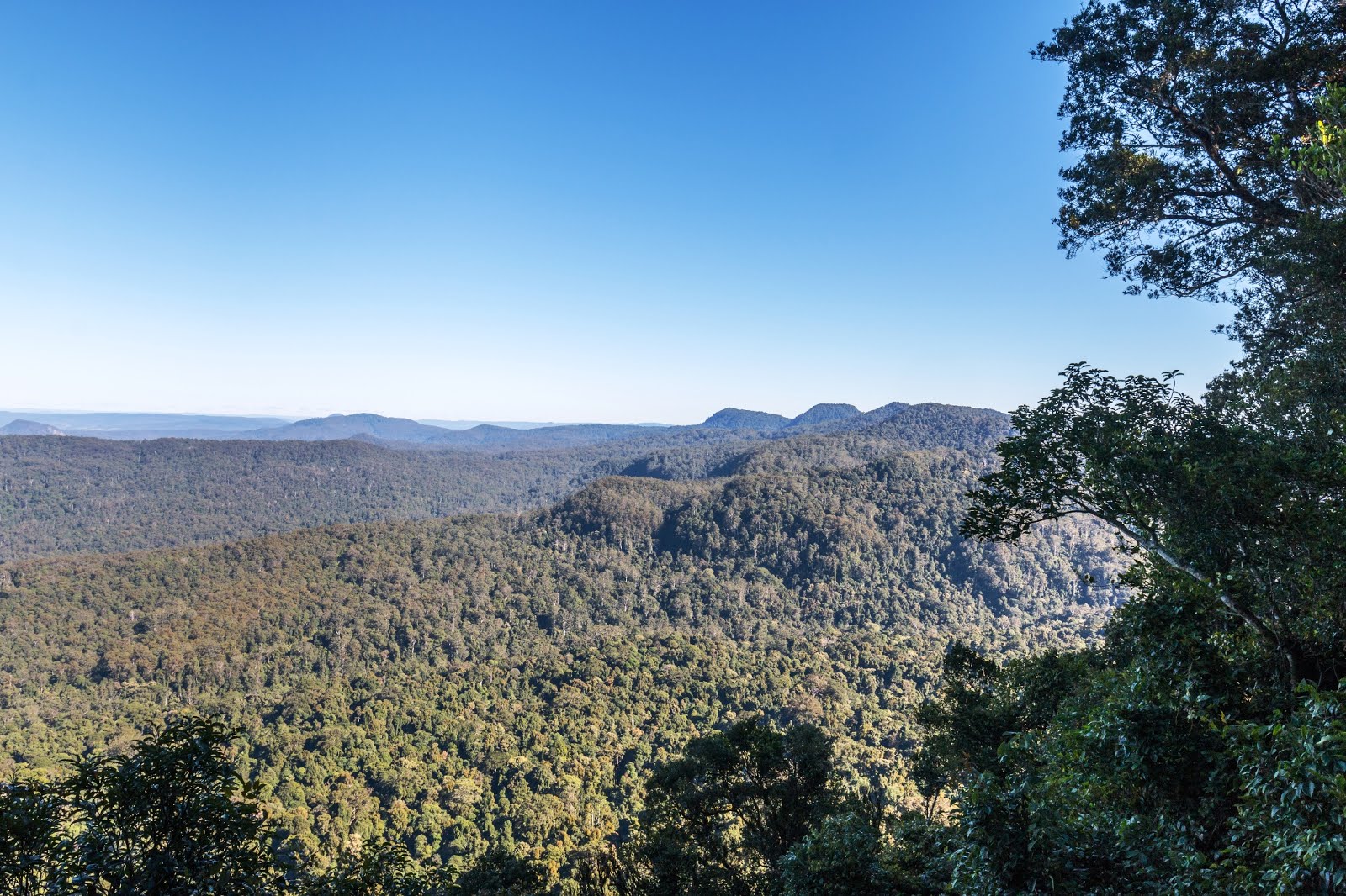 National Park Odyssey Iron Pot Creek Campground and Toonumbar Forest