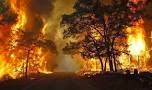 BNPB Riau Gelar Sosialisasi Pengendalian Kebakaran Hutan