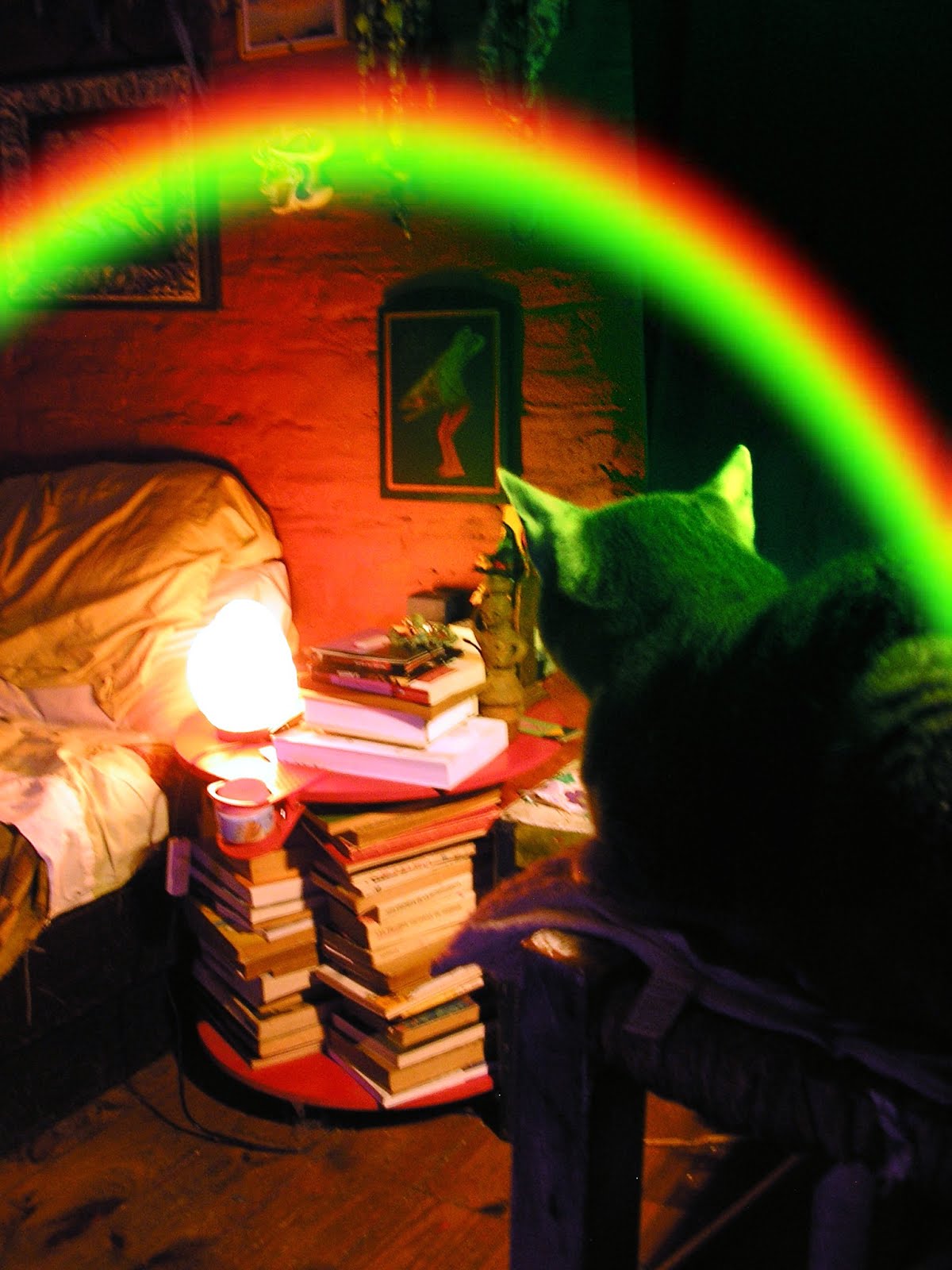 Hugo, y el arcoiris