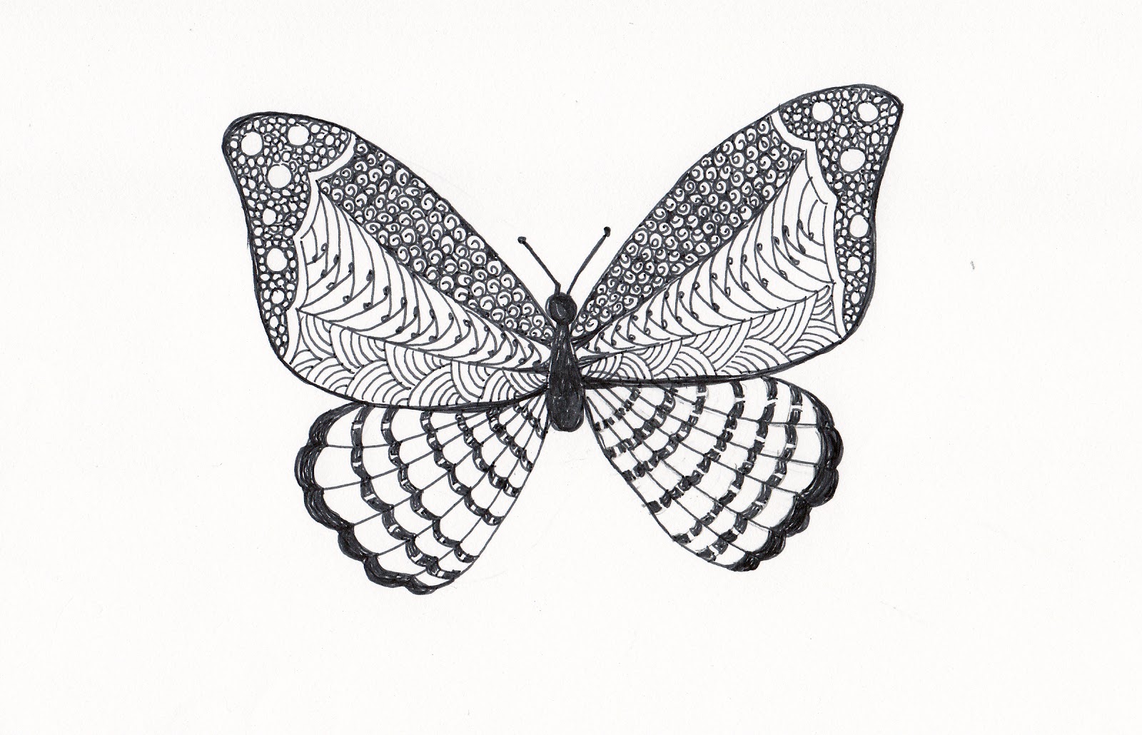 Дудлинг бабочка