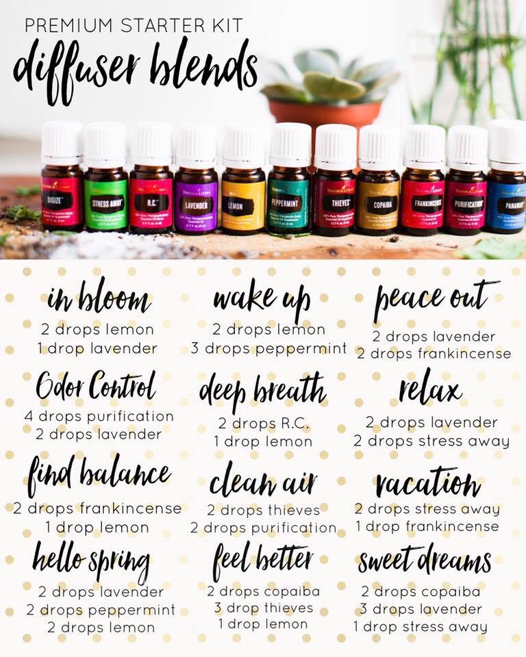Koleksi Resepi Untuk Blend Premium Starter Kit Young Living Essential Oils
