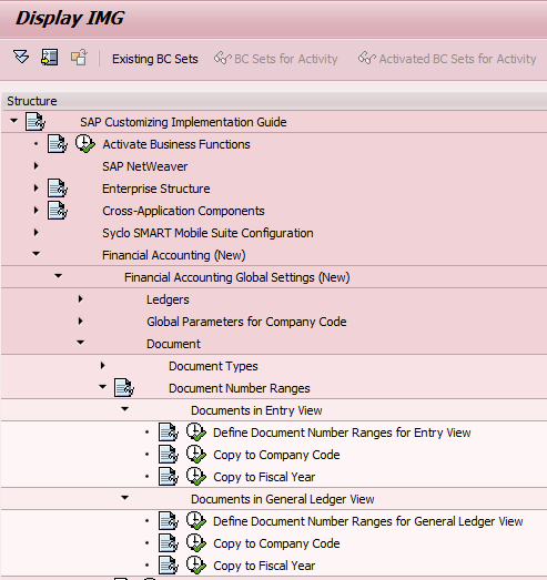 SAP FI - Document Number Ranges