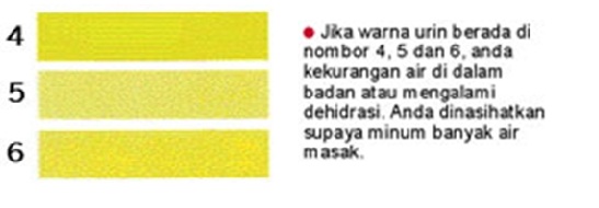 Ubat Selsema Warna Kuning Mengantuk  Angelkilax