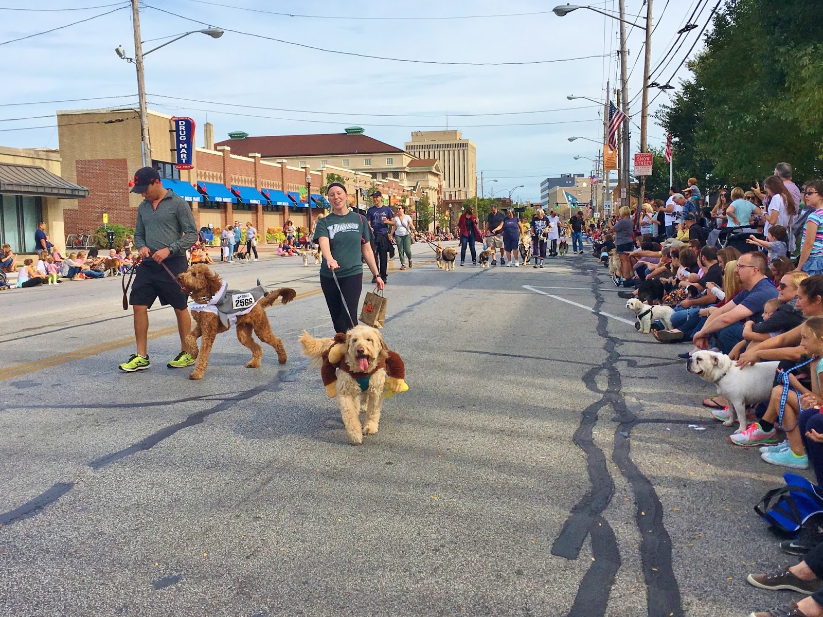 Spooky Pooch Parade Lakewood, Ohio Ohio Festivals