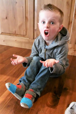 wiggle exercise bike