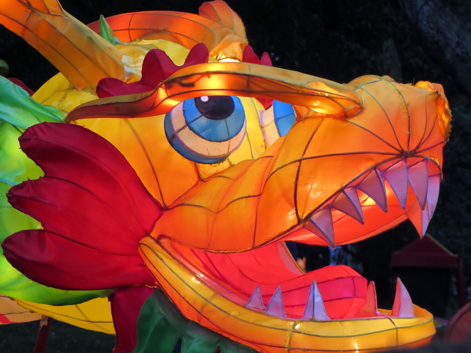 sconzani Auckland Lantern Festival