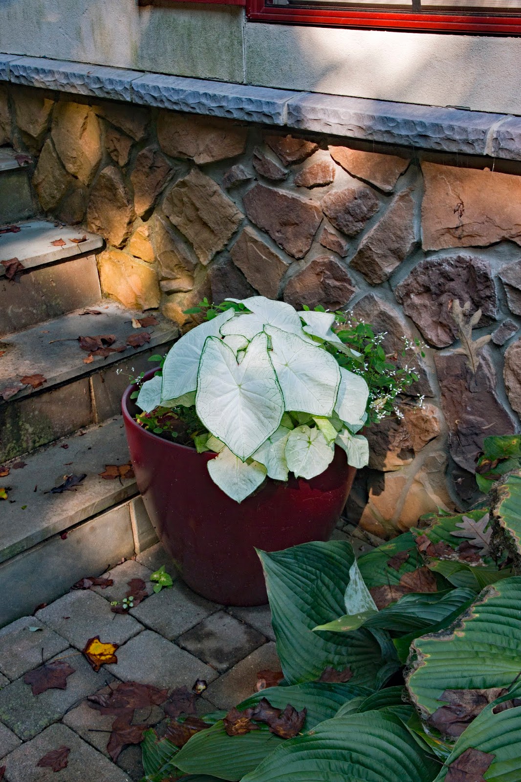 Room Without Walls: My Little Engineer