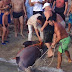 Χαλκιδική: Ψαράς έπιασε σκυλόψαρο τριών μέτρων και 200 κιλών (εικόνες)