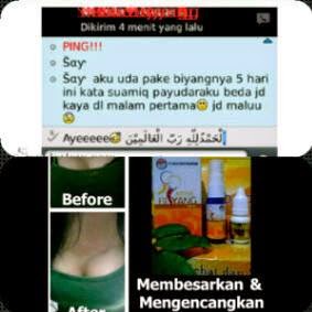 Melia Biyang untuk payudara Melia Biyang untuk payudara