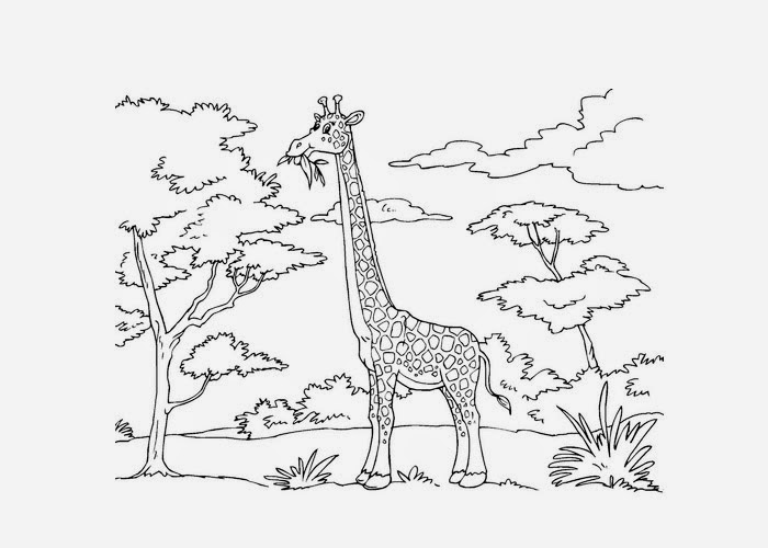 safari coloring book pages - photo #36