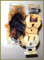 Home fries due to aluminum wiring