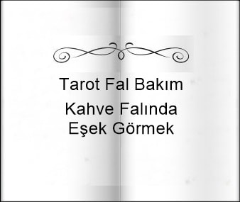 Kahve Falinda Esek Gormek Gizli Ilim Ve Insan