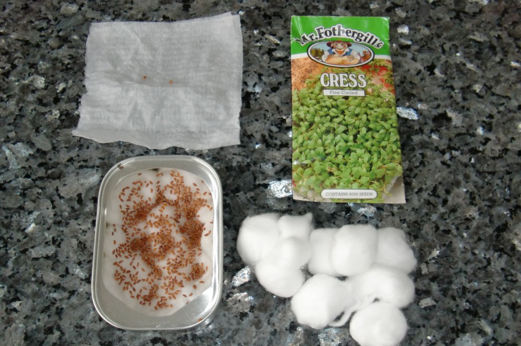 Urban Green Survival Food and Water