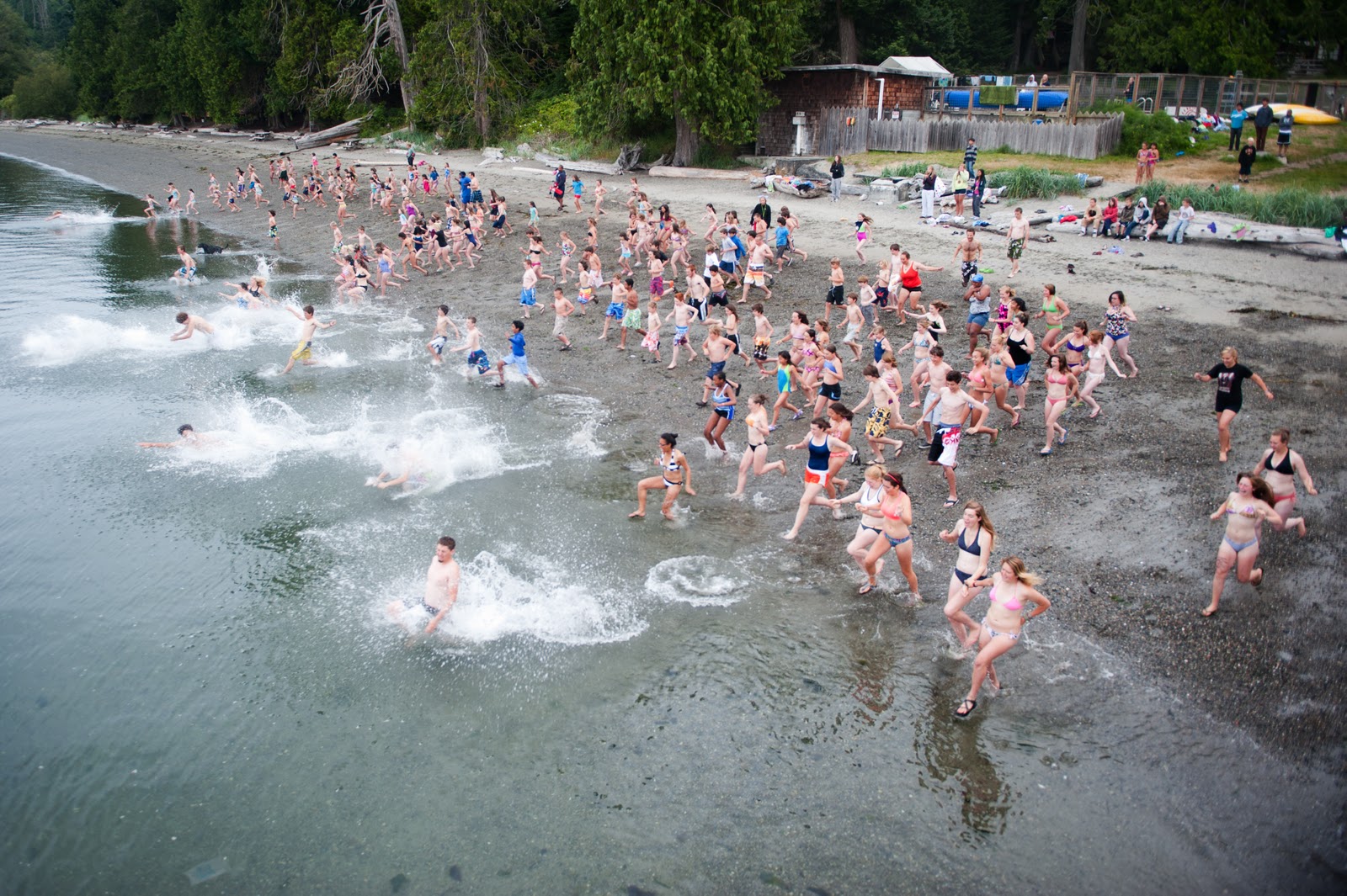 YMCA Camp Orkila The Blog Polar Bear