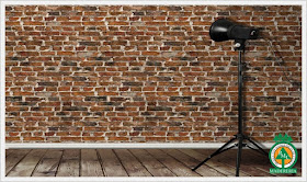 Productos Maderables de Cuale: ¿Se pueden colocar los paneles de yeso