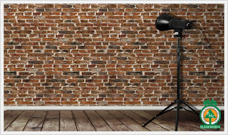 Productos Maderables de Cuale: ¿Se pueden colocar los paneles de yeso