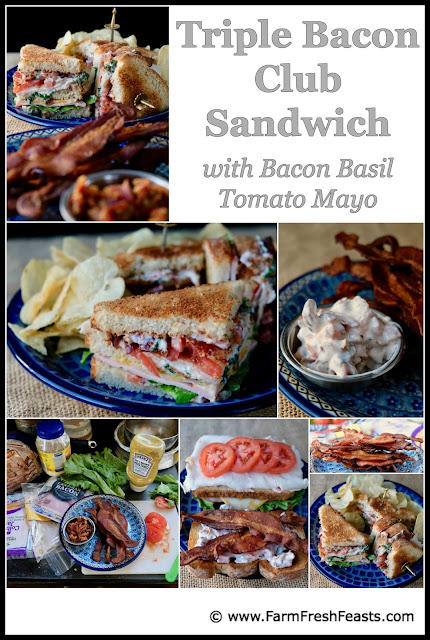This triple decker sandwich is packed with bacon! Starting with crisp bacon strips, tender slices of Canadian bacon, and an amazing Bacon Basil Tomato Mayo spread--this restaurant quality recipe is perfect for a game day crowd or a satisfying solo lunch with a good book.