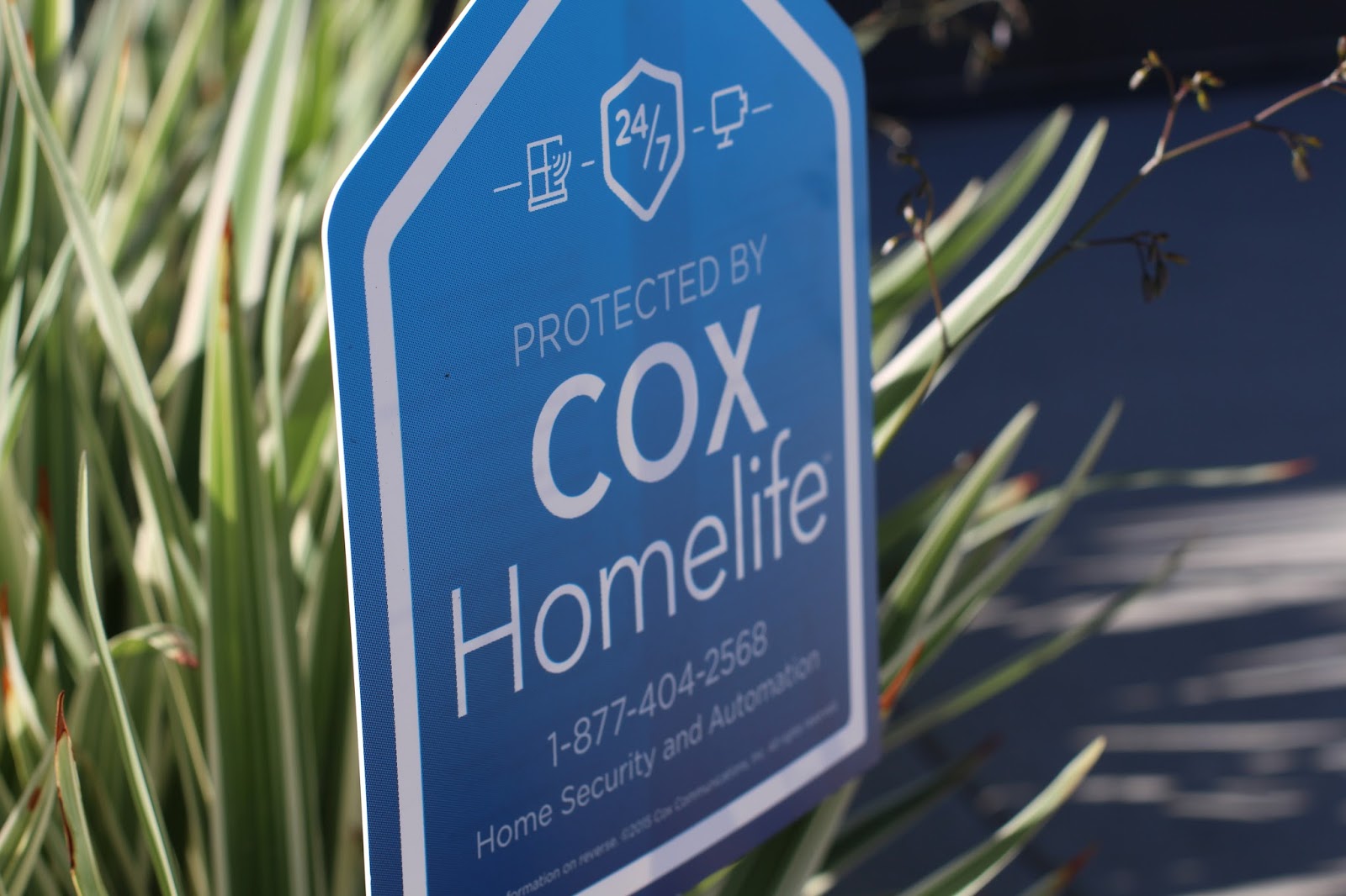 alexa work with cox homelife