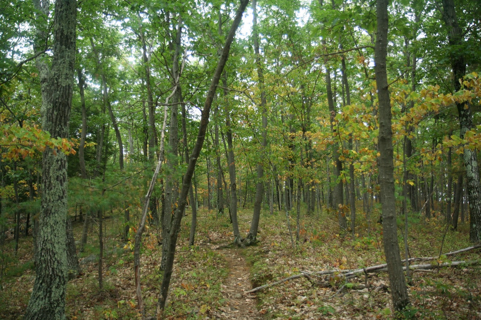 Camp Anywhere Road Trip Adirondacks