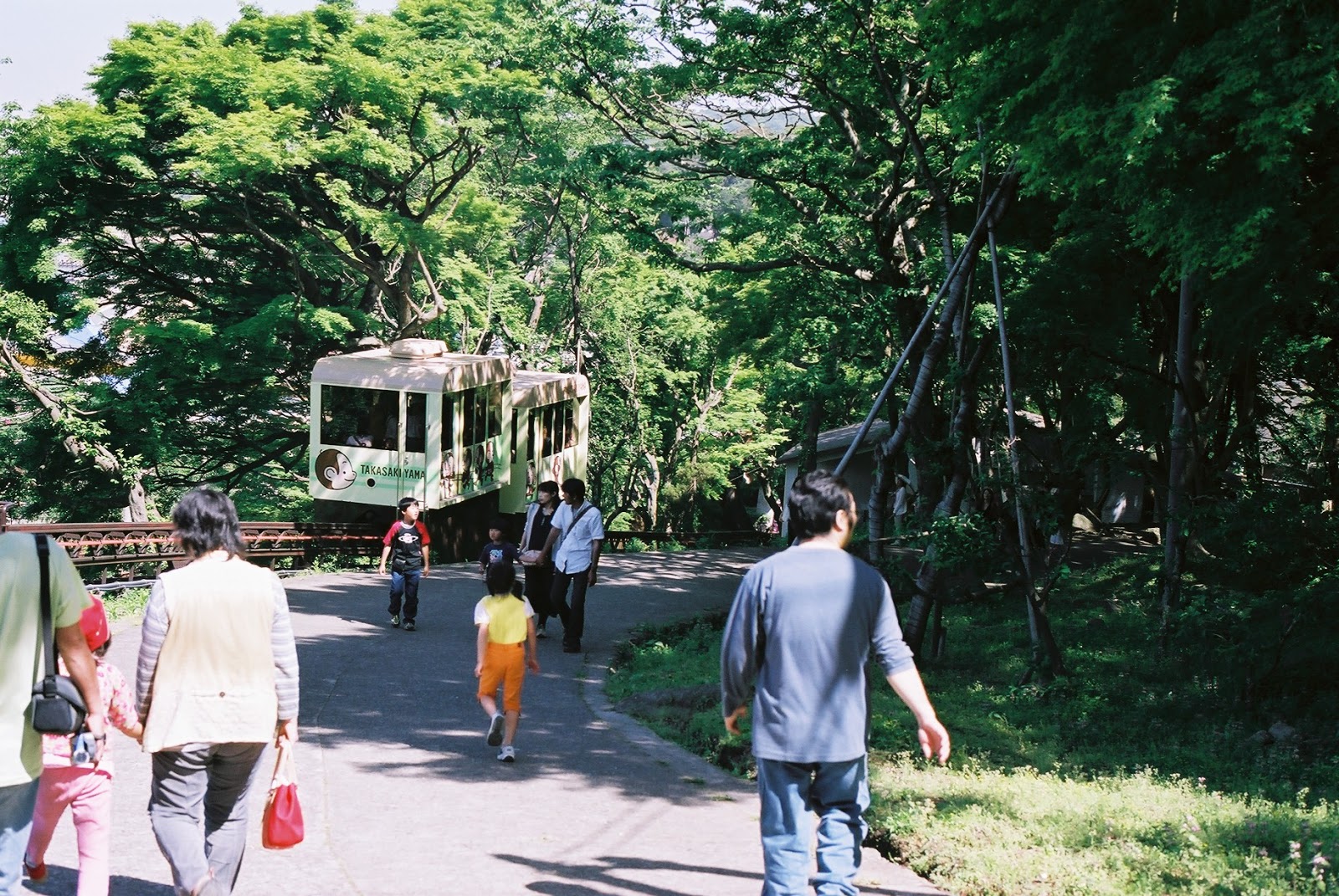 別冊 つなわたり／ロープウェイに乗ろう 大分市 高崎山自然動物園 さるっこレール（260m）