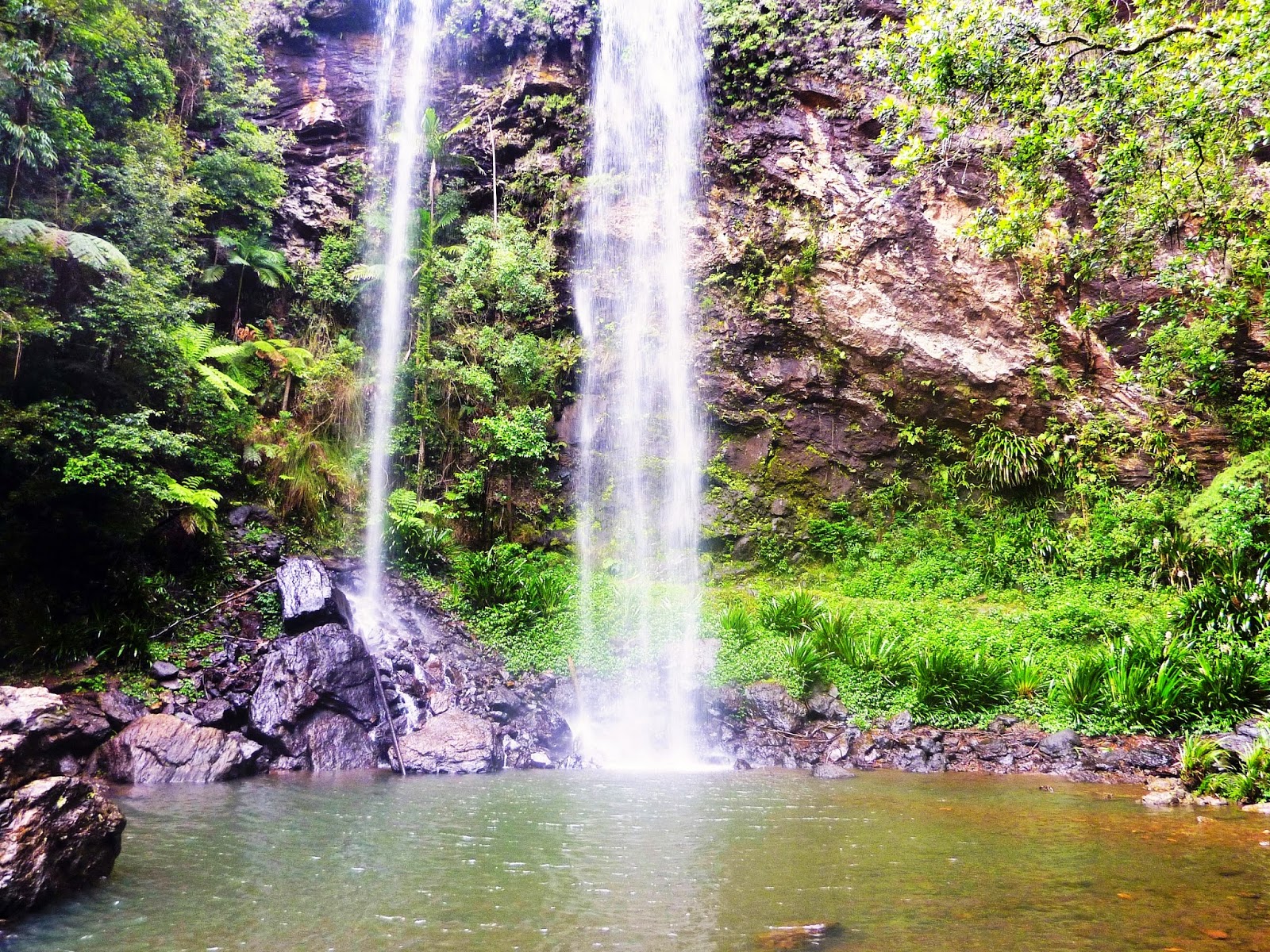 National Park Odyssey Springbrook National Park, QLD. Part 2 Twin Falls.