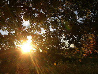 CIMG2571 - Födelsedagspromenad