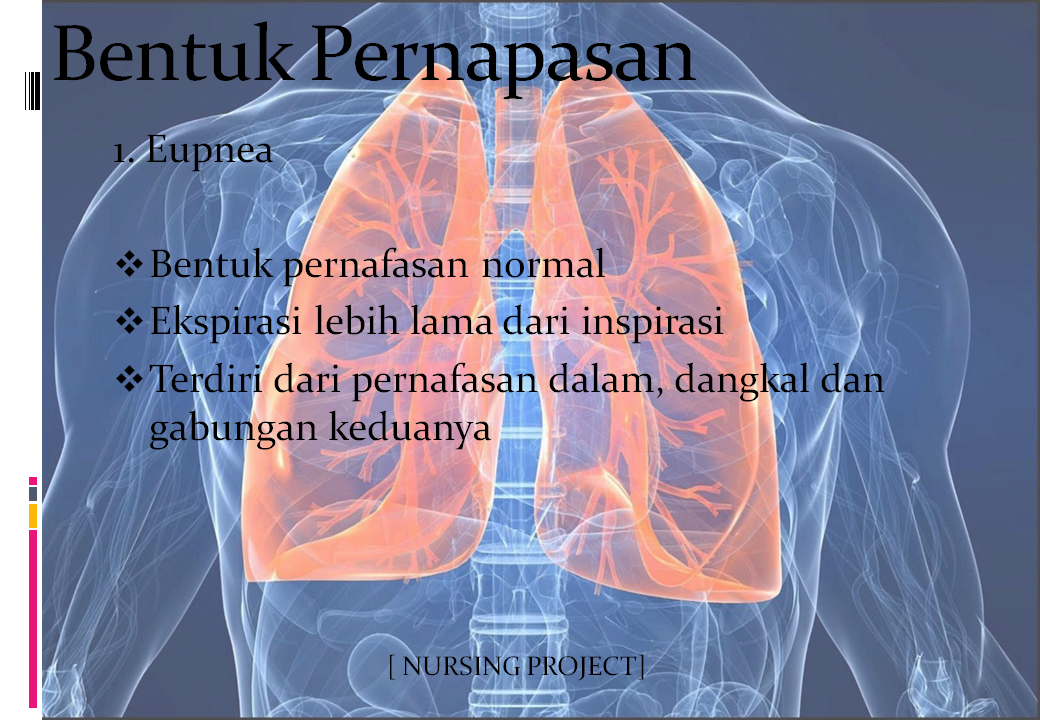 NURSING PROJECT: ANATOMI DAN FISIOLOGI SISTEM RESPIRASI