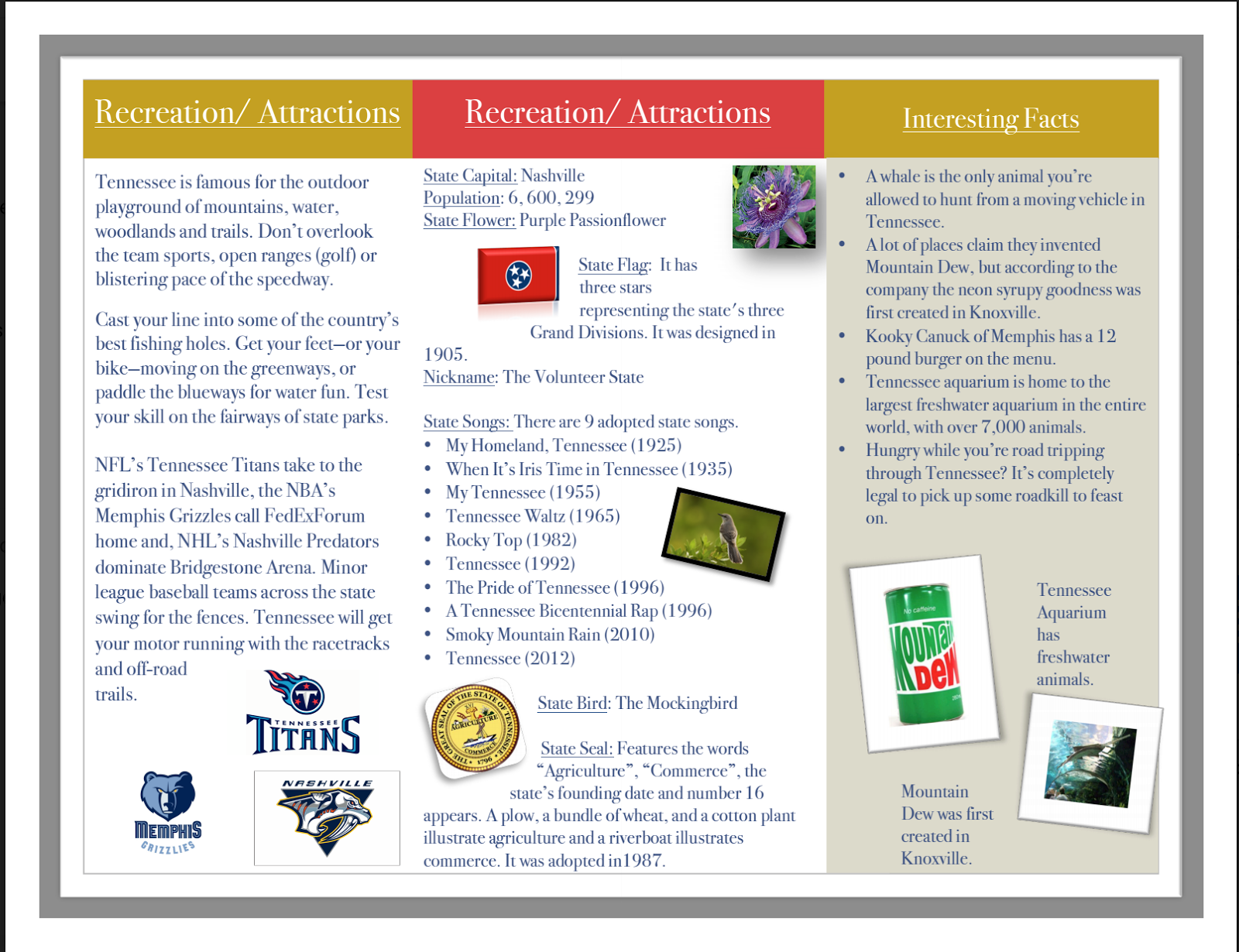 Brochure Example