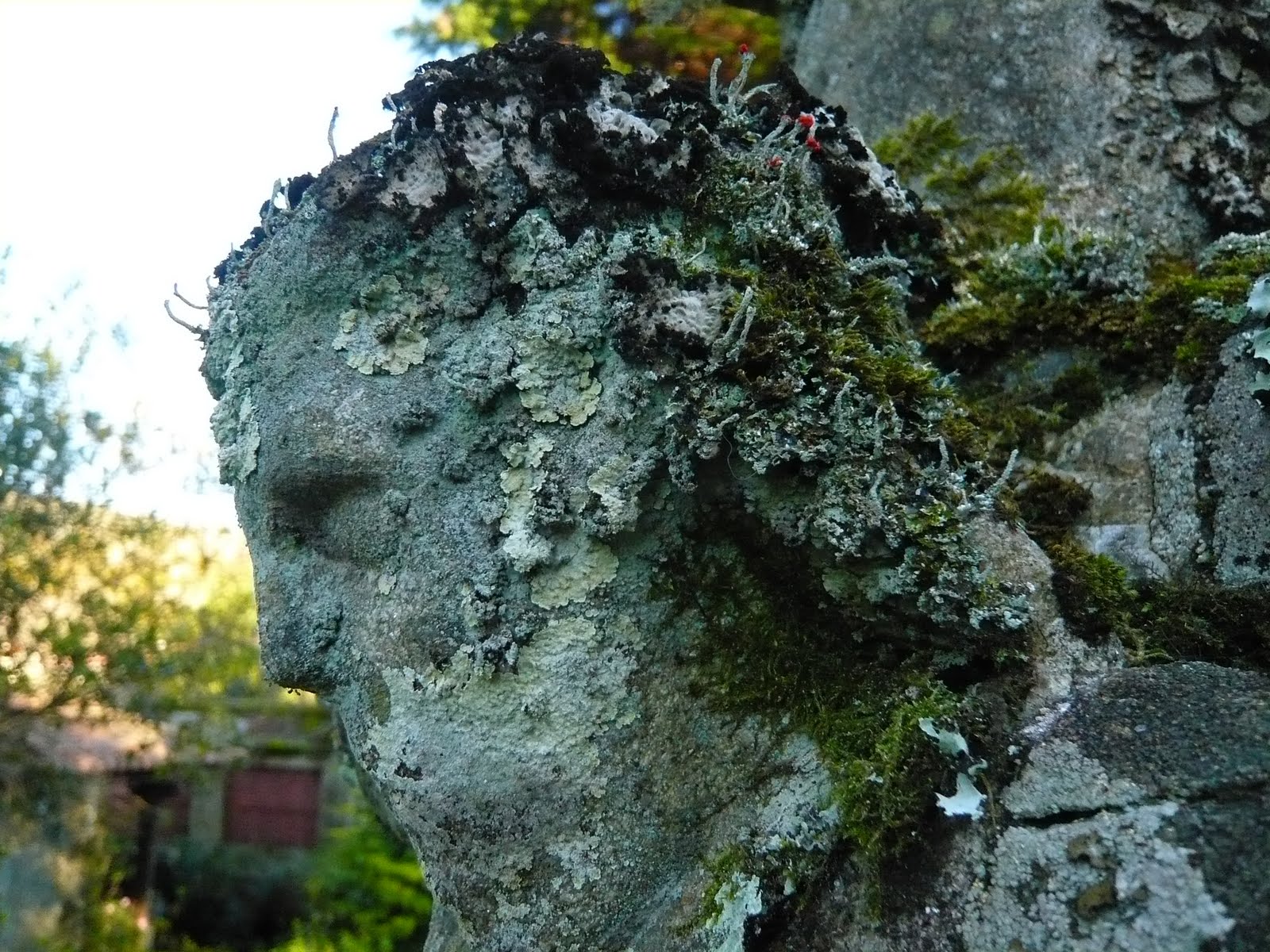 Mi jardín, mi paraíso.: La Cruz de mi jardín.