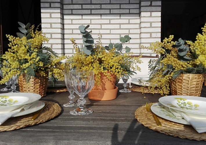Mesa primaveral con mimosas