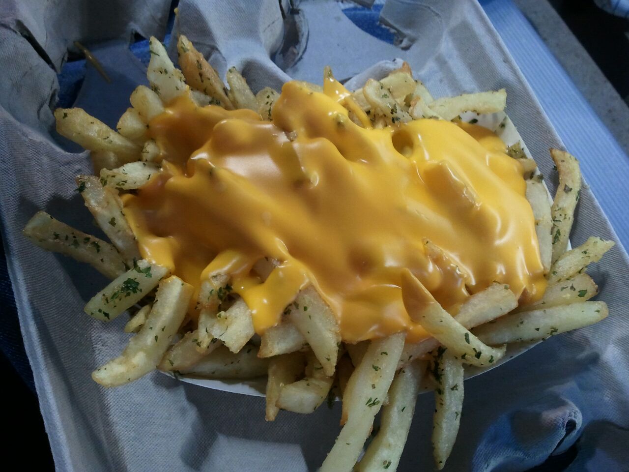 Foodette Reviews Yankee Stadium Garlic Fries